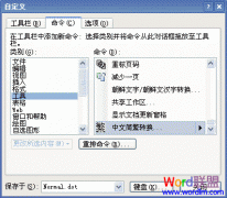 Word2003����