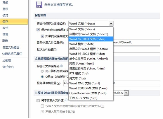 Word 2010���Զ�������